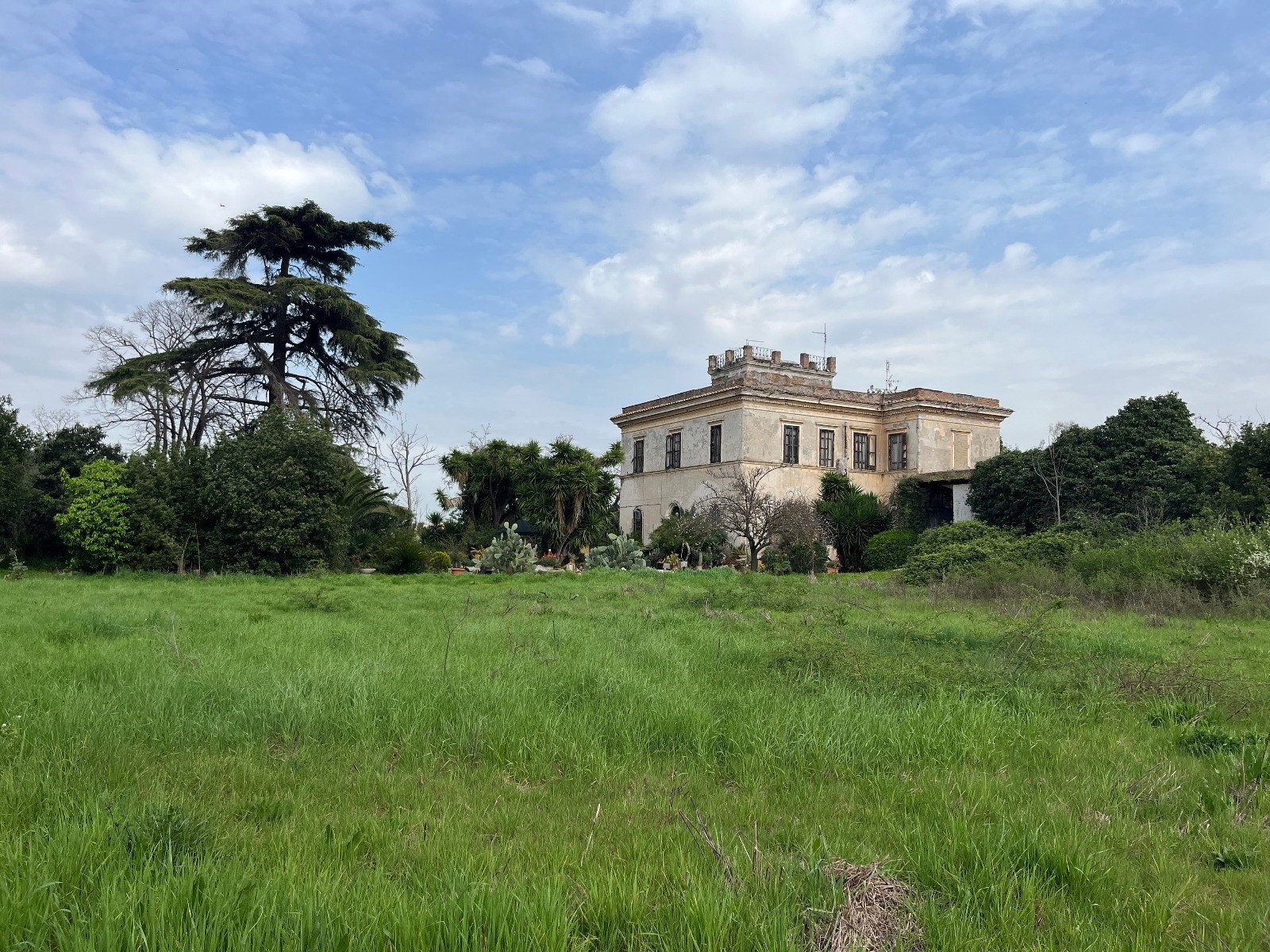 Ancient sunlit forest of the Maremma — 220 hectares of protected Tuscan wilderness