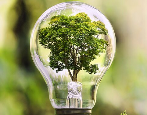 environmental-sustainability